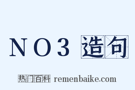 NO3造句是什么意思的图片